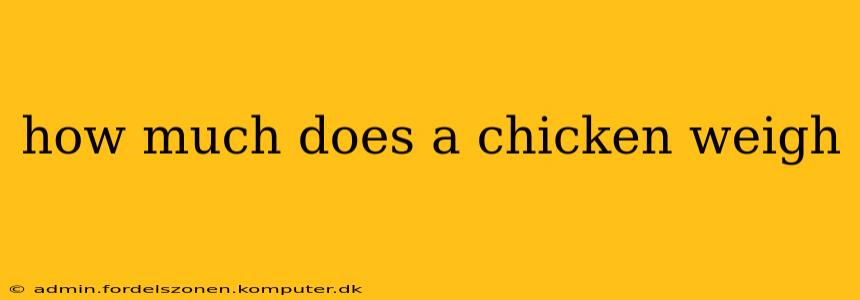 how much does a chicken weigh
