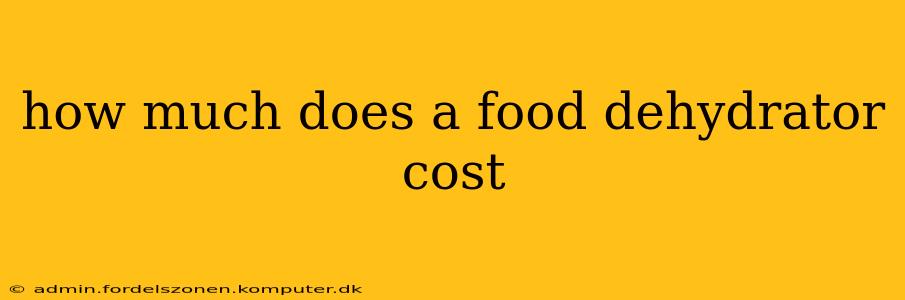 how much does a food dehydrator cost