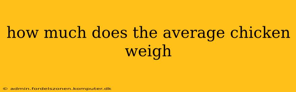 how much does the average chicken weigh