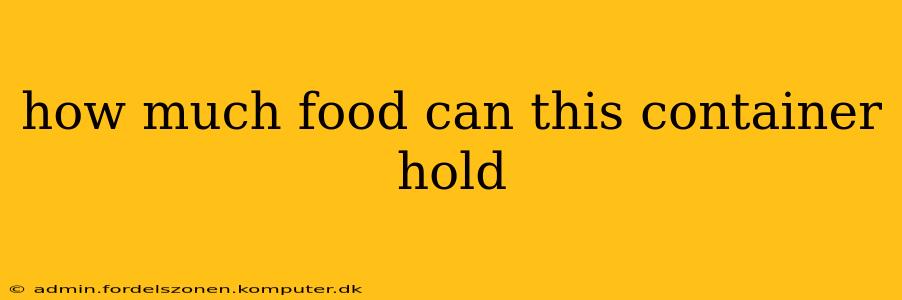 how much food can this container hold