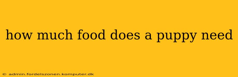 how much food does a puppy need