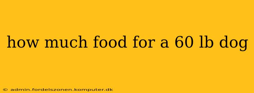 how much food for a 60 lb dog