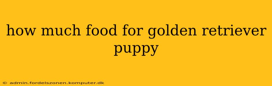 how much food for golden retriever puppy