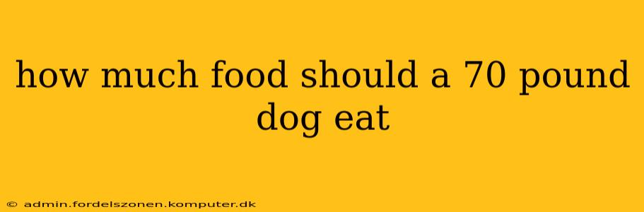 how much food should a 70 pound dog eat