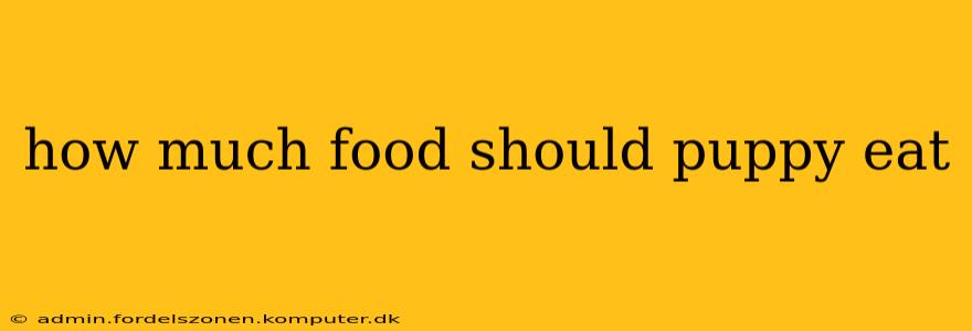 how much food should puppy eat