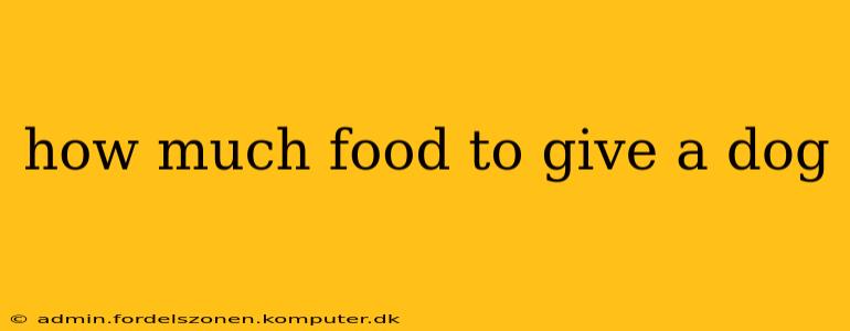 how much food to give a dog