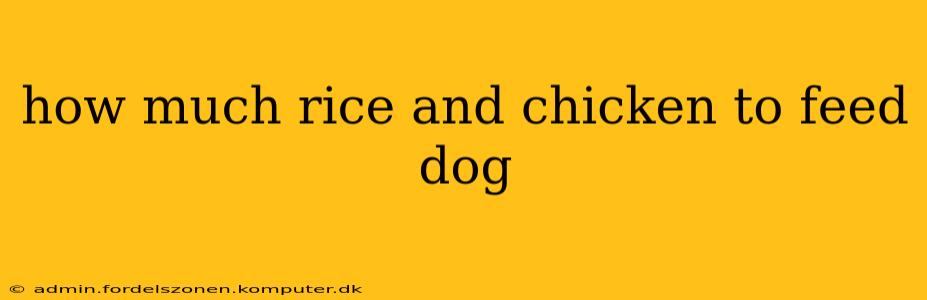 how much rice and chicken to feed dog