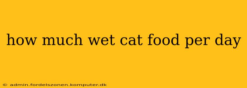 how much wet cat food per day