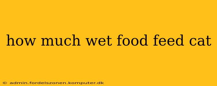 how much wet food feed cat