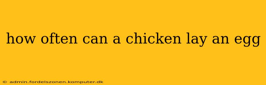 how often can a chicken lay an egg
