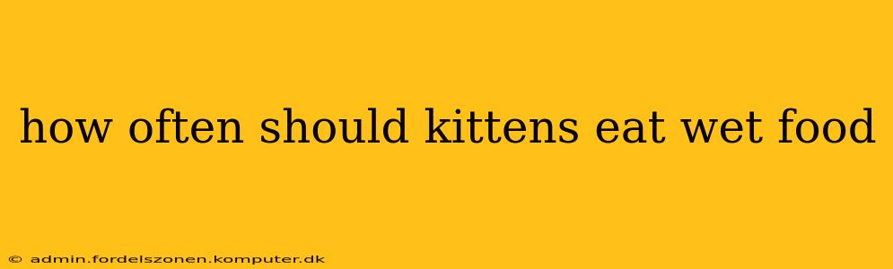 how often should kittens eat wet food