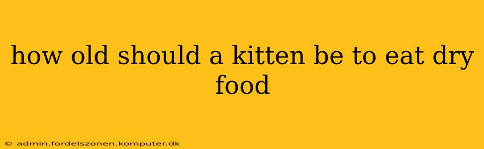 how old should a kitten be to eat dry food