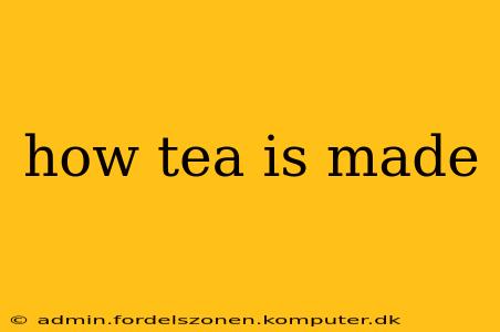 how tea is made