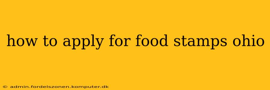 how to apply for food stamps ohio