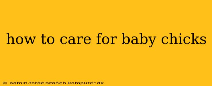 how to care for baby chicks