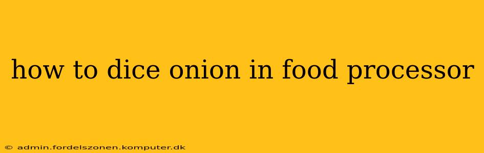 how to dice onion in food processor