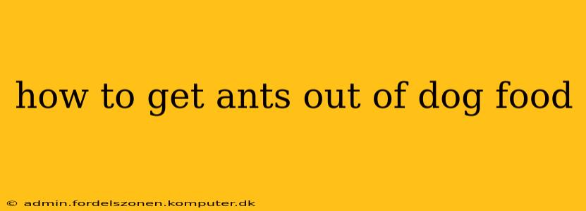 how to get ants out of dog food