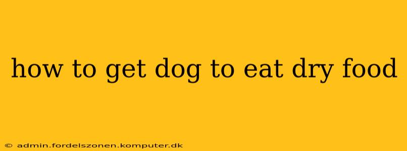 how to get dog to eat dry food