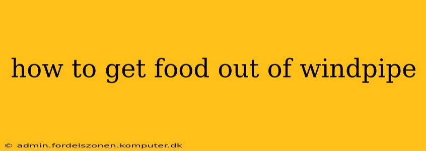 how to get food out of windpipe
