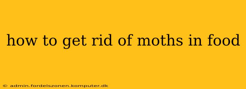 how to get rid of moths in food