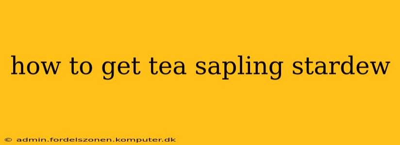 how to get tea sapling stardew