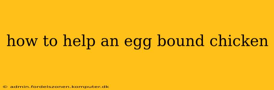 how to help an egg bound chicken