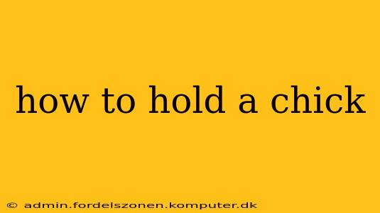 how to hold a chick