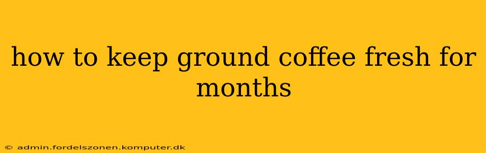 how to keep ground coffee fresh for months