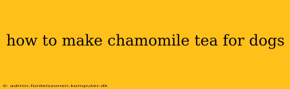 how to make chamomile tea for dogs