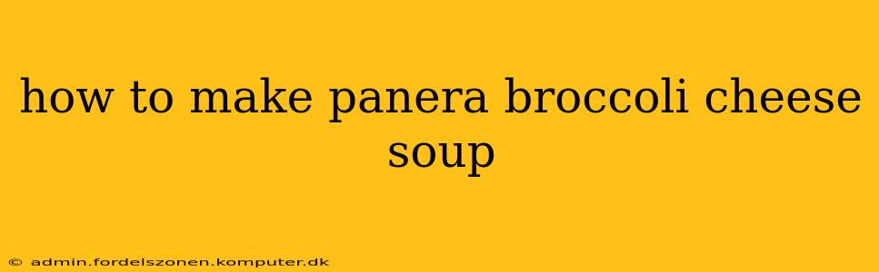 how to make panera broccoli cheese soup