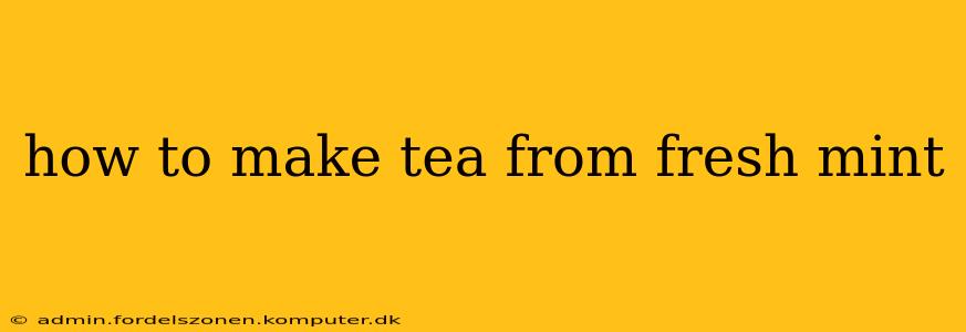 how to make tea from fresh mint