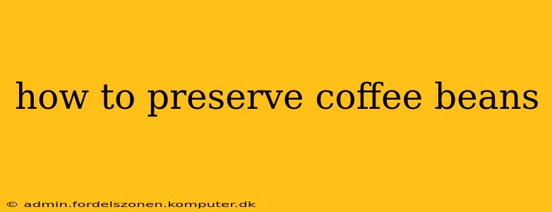 how to preserve coffee beans