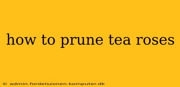 how to prune tea roses