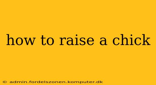 how to raise a chick