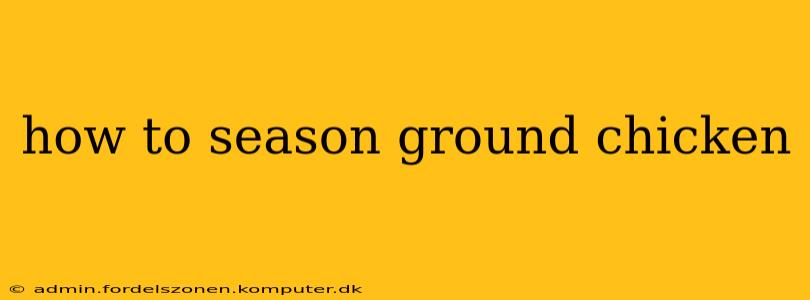 how to season ground chicken