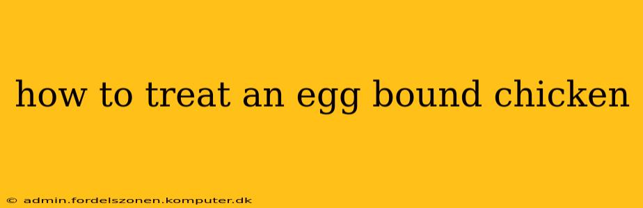 how to treat an egg bound chicken