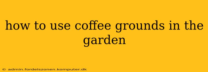 how to use coffee grounds in the garden