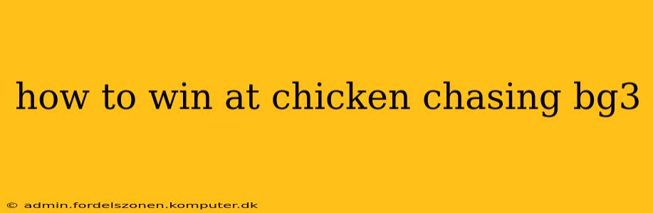 how to win at chicken chasing bg3