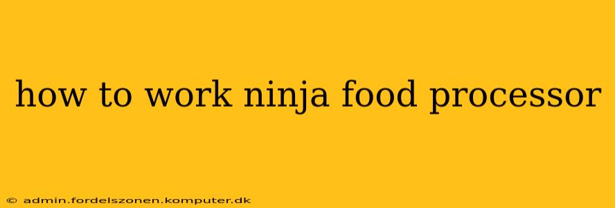 how to work ninja food processor