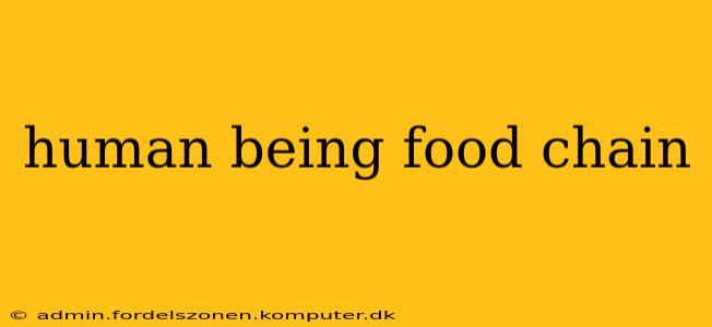 human being food chain
