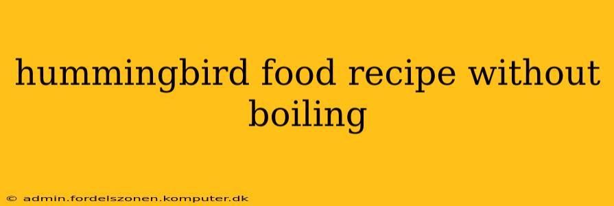 hummingbird food recipe without boiling
