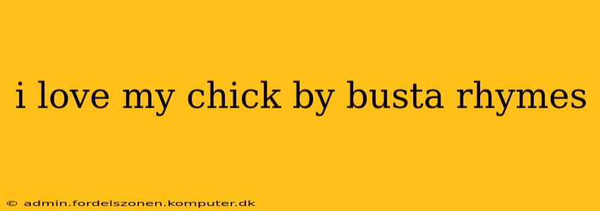 i love my chick by busta rhymes