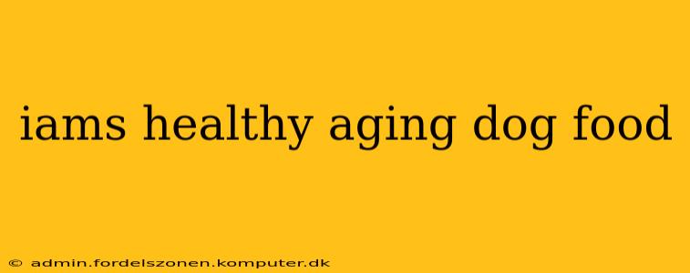 iams healthy aging dog food