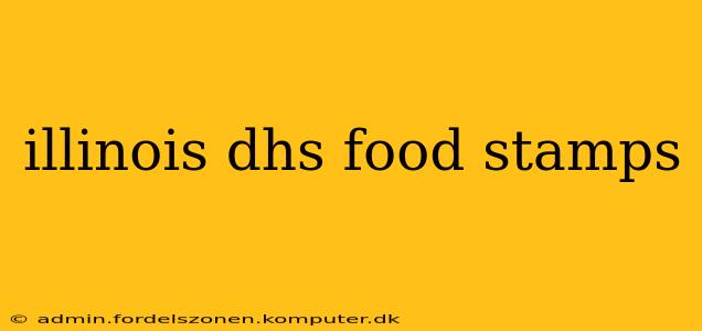 illinois dhs food stamps