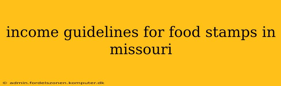 income guidelines for food stamps in missouri