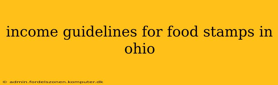 income guidelines for food stamps in ohio