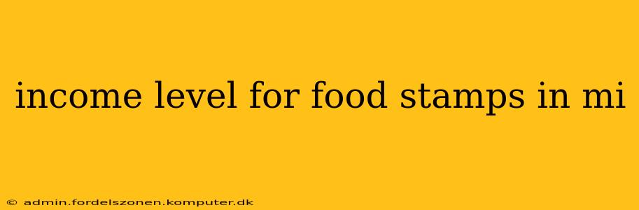 income level for food stamps in mi