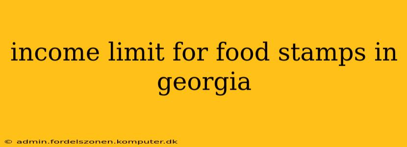 income limit for food stamps in georgia