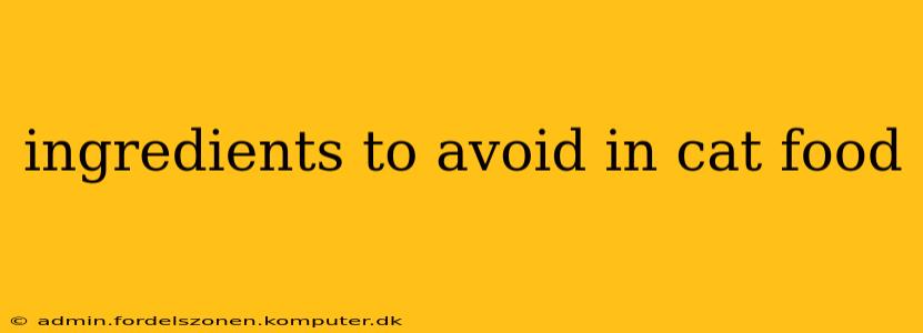 ingredients to avoid in cat food