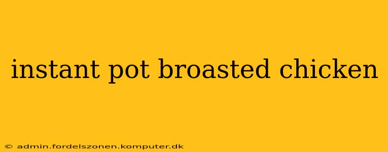 instant pot broasted chicken